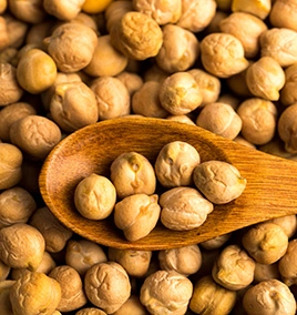 Garbanzo